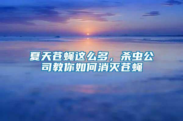 夏天苍蝇这么多，杀虫公司教你如何消灭苍蝇