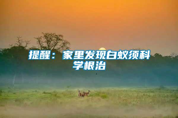 提醒：家里发现白蚁须科学根治