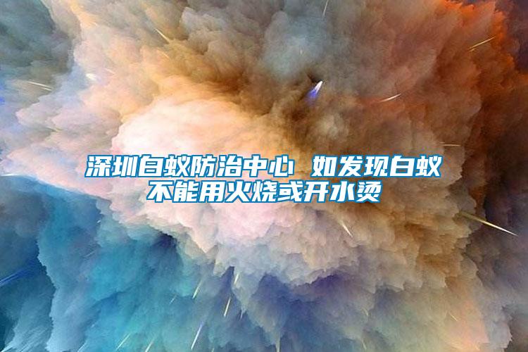 深圳白蚁防治中心 如发现白蚁不能用火烧或开水烫