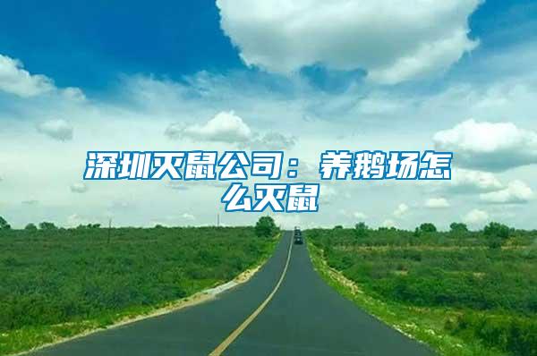 深圳灭鼠公司：养鹅场怎么灭鼠