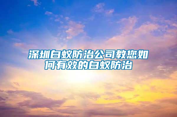 深圳白蚁防治公司教您如何有效的白蚁防治