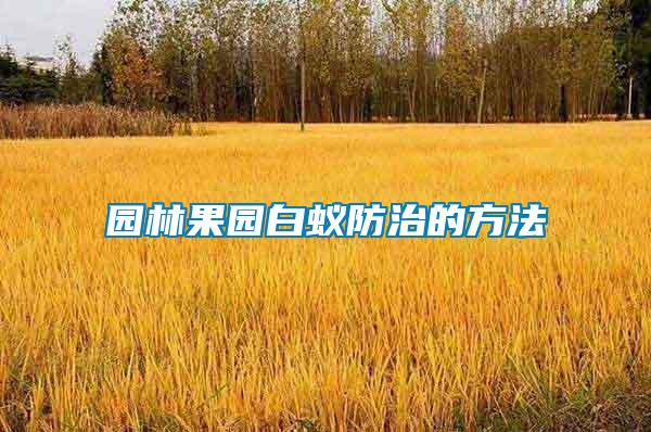 园林果园白蚁防治的方法