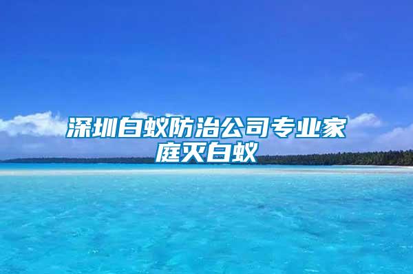 深圳白蚁防治公司专业家庭灭白蚁