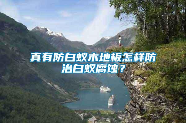 真有防白蚁木地板怎样防治白蚁腐蚀？