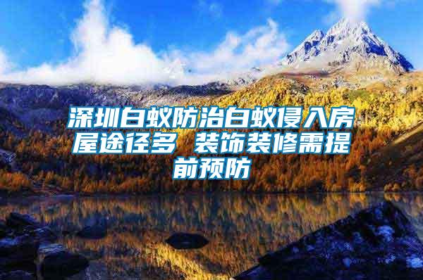 深圳白蚁防治白蚁侵入房屋途径多 装饰装修需提前预防