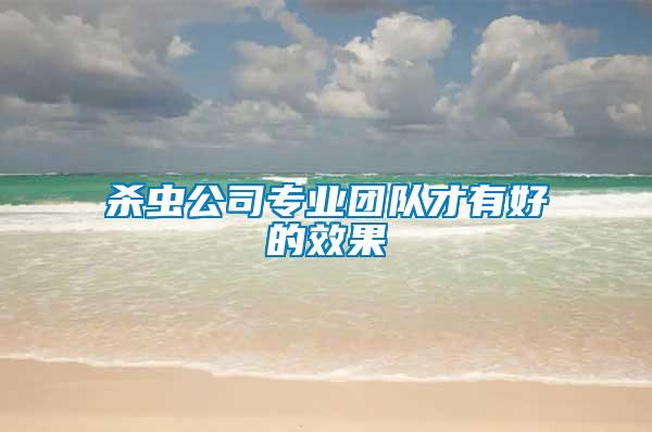 杀虫公司专业团队才有好的效果