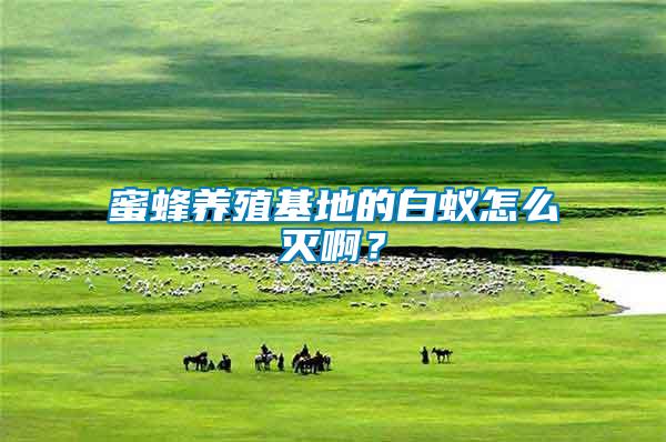 蜜蜂养殖基地的白蚁怎么灭啊？