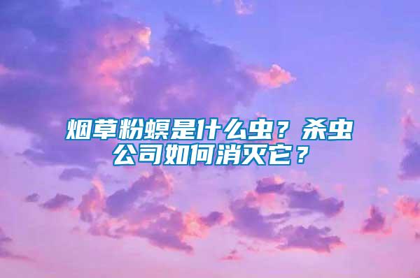 烟草粉螟是什么虫？杀虫公司如何消灭它？