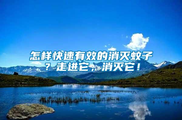 怎样快速有效的消灭蚊子？走进它，消灭它！