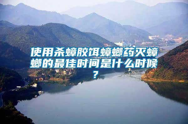 使用杀蟑胶饵蟑螂药灭蟑螂的最佳时间是什么时候？