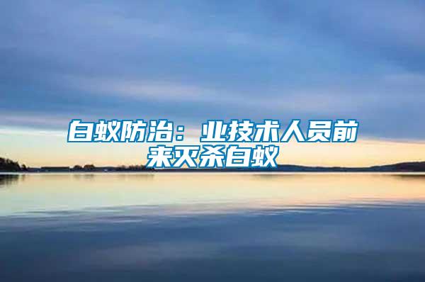 白蚁防治：业技术人员前来灭杀白蚁