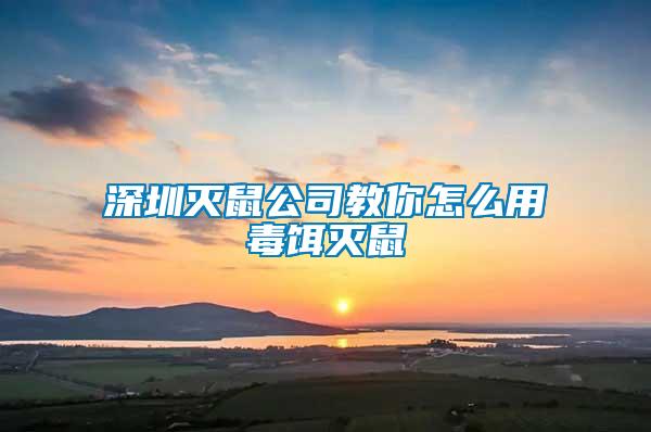 深圳灭鼠公司教你怎么用毒饵灭鼠