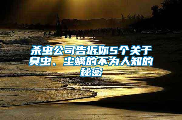 杀虫公司告诉你5个关于臭虫、尘螨的不为人知的秘密