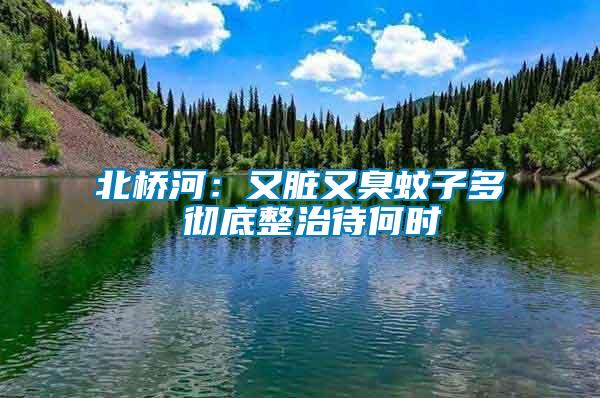 北桥河：又脏又臭蚊子多 彻底整治待何时