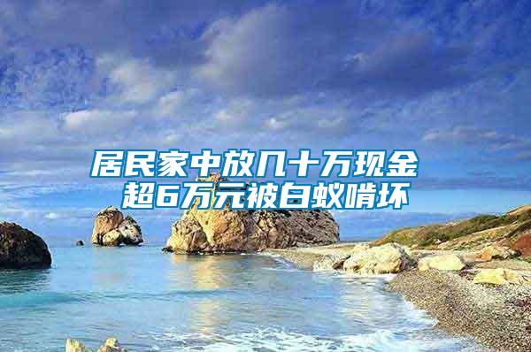 居民家中放几十万现金 超6万元被白蚁啃坏