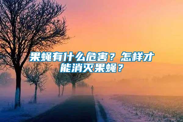 果蝇有什么危害？怎样才能消灭果蝇？