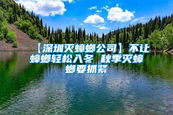 【深圳灭蟑螂公司】不让蟑螂轻松入冬 秋季灭蟑螂要抓紧