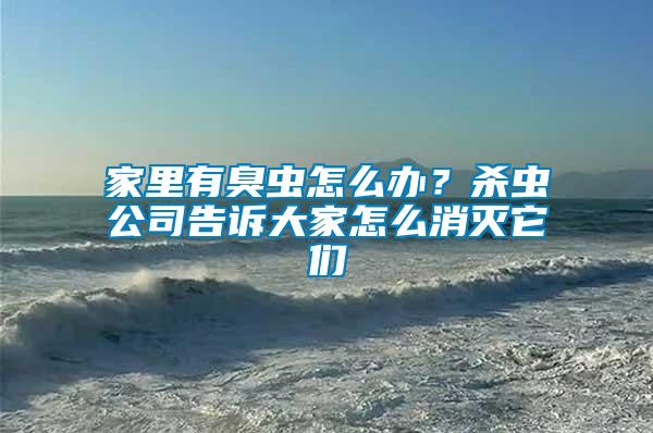 家里有臭虫怎么办？杀虫公司告诉大家怎么消灭它们