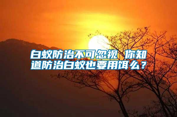 白蚁防治不可忽视 你知道防治白蚁也要用饵么？