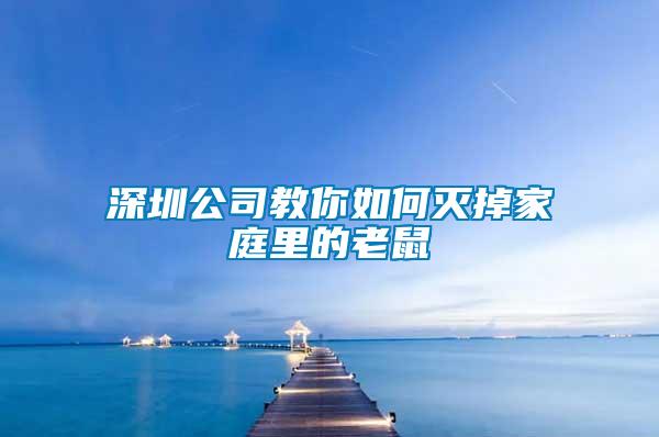 深圳公司教你如何灭掉家庭里的老鼠