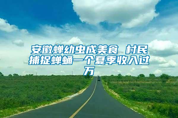 安徽蝉幼虫成美食 村民捕捉蝉蛹一个夏季收入过万