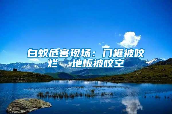 白蚁危害现场：门框被咬烂  地板被咬空