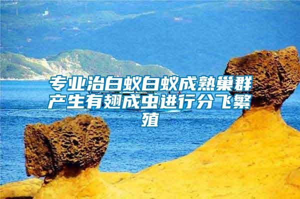 专业治白蚁白蚁成熟巢群产生有翅成虫进行分飞繁殖
