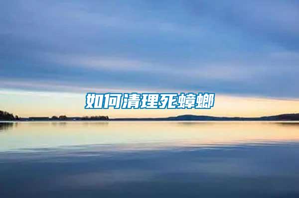 如何清理死蟑螂