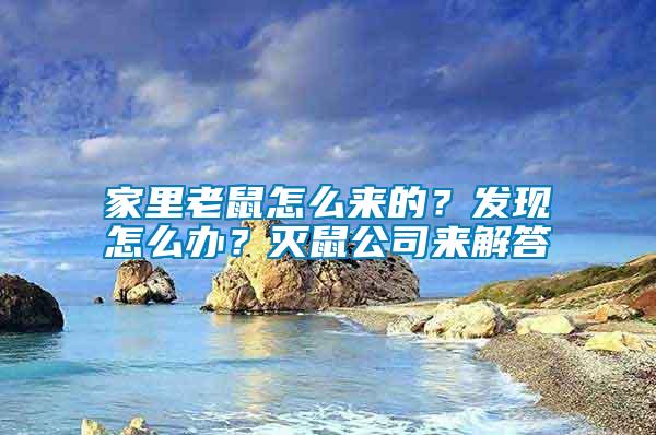 家里老鼠怎么来的？发现怎么办？灭鼠公司来解答