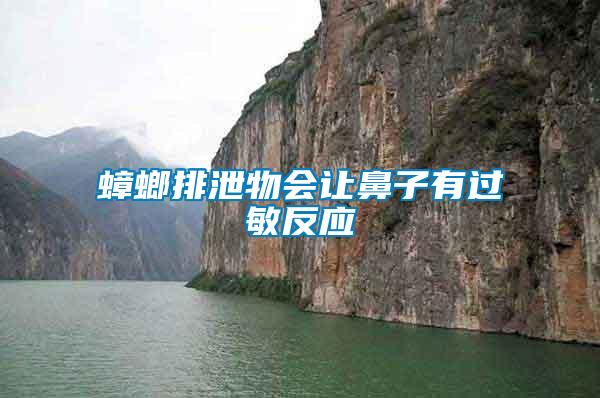 蟑螂排泄物会让鼻子有过敏反应