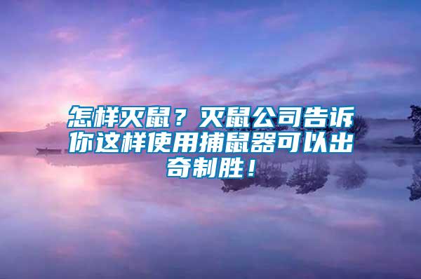 怎样灭鼠？灭鼠公司告诉你这样使用捕鼠器可以出奇制胜！