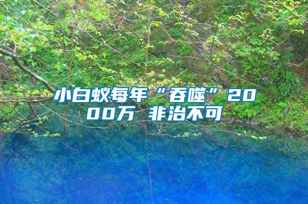 小白蚁每年“吞噬”2000万 非治不可