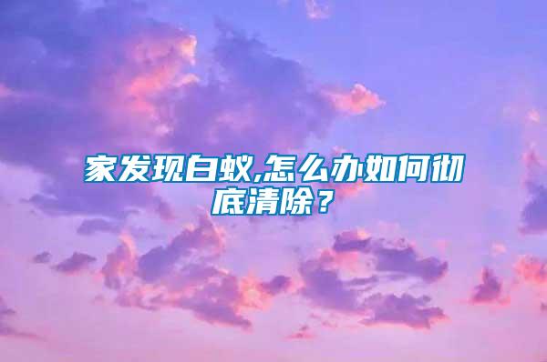 家发现白蚁,怎么办如何彻底清除？