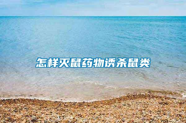 怎样灭鼠药物诱杀鼠类