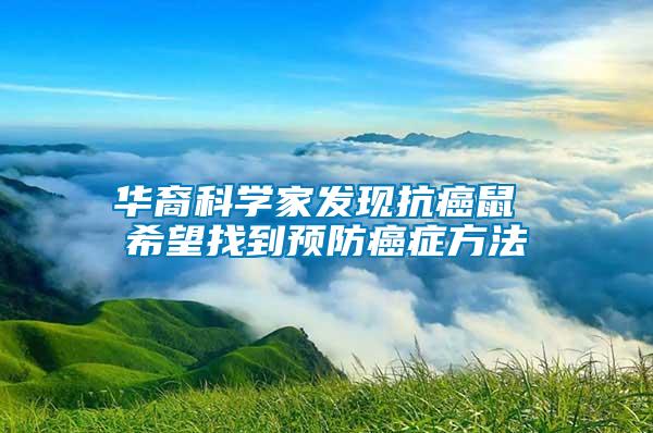 华裔科学家发现抗癌鼠 希望找到预防癌症方法