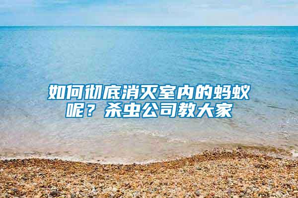 如何彻底消灭室内的蚂蚁呢？杀虫公司教大家