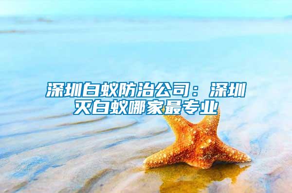 深圳白蚁防治公司：深圳灭白蚁哪家最专业