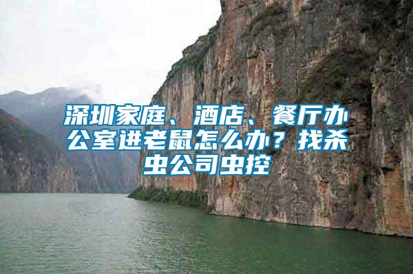 深圳家庭、酒店、餐厅办公室进老鼠怎么办？找杀虫公司虫控