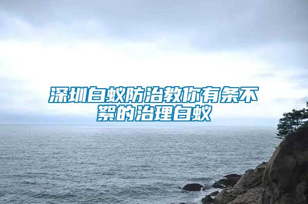 深圳白蚁防治教你有条不絮的治理白蚁