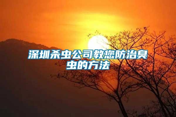 深圳杀虫公司教您防治臭虫的方法