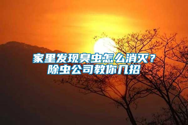 家里发现臭虫怎么消灭？除虫公司教你几招