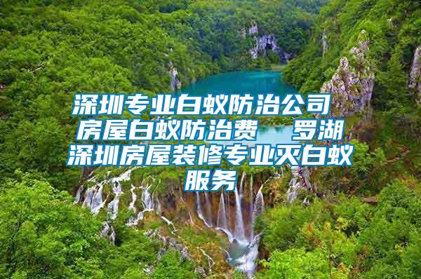 深圳专业白蚁防治公司 房屋白蚁防治费  罗湖深圳房屋装修专业灭白蚁服务