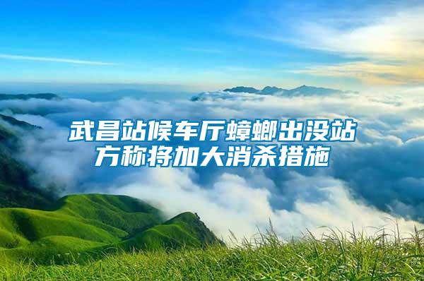 武昌站候车厅蟑螂出没站方称将加大消杀措施