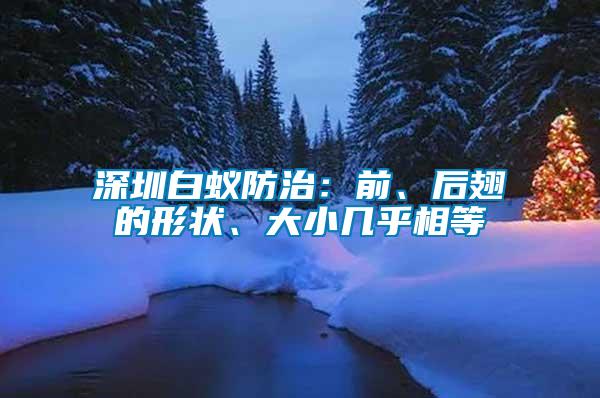 深圳白蚁防治：前、后翅的形状、大小几乎相等