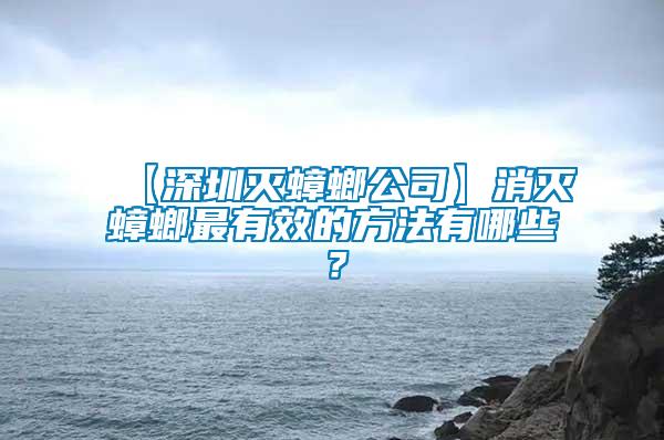 【深圳灭蟑螂公司】消灭蟑螂最有效的方法有哪些？