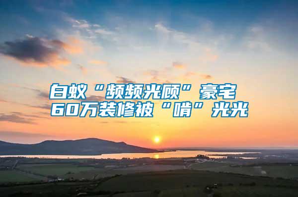 白蚁“频频光顾”豪宅 60万装修被“啃”光光