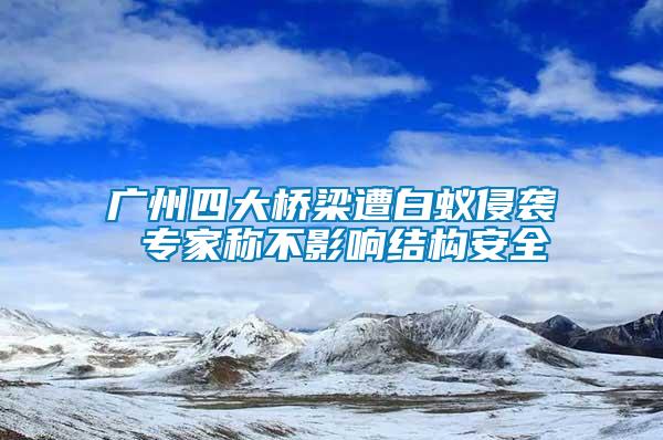 广州四大桥梁遭白蚁侵袭 专家称不影响结构安全