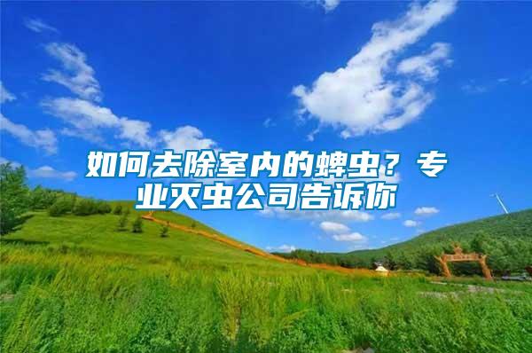 如何去除室内的蜱虫？专业灭虫公司告诉你