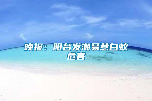 晚报：阳台发潮易惹白蚁危害