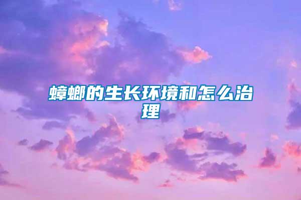 蟑螂的生长环境和怎么治理